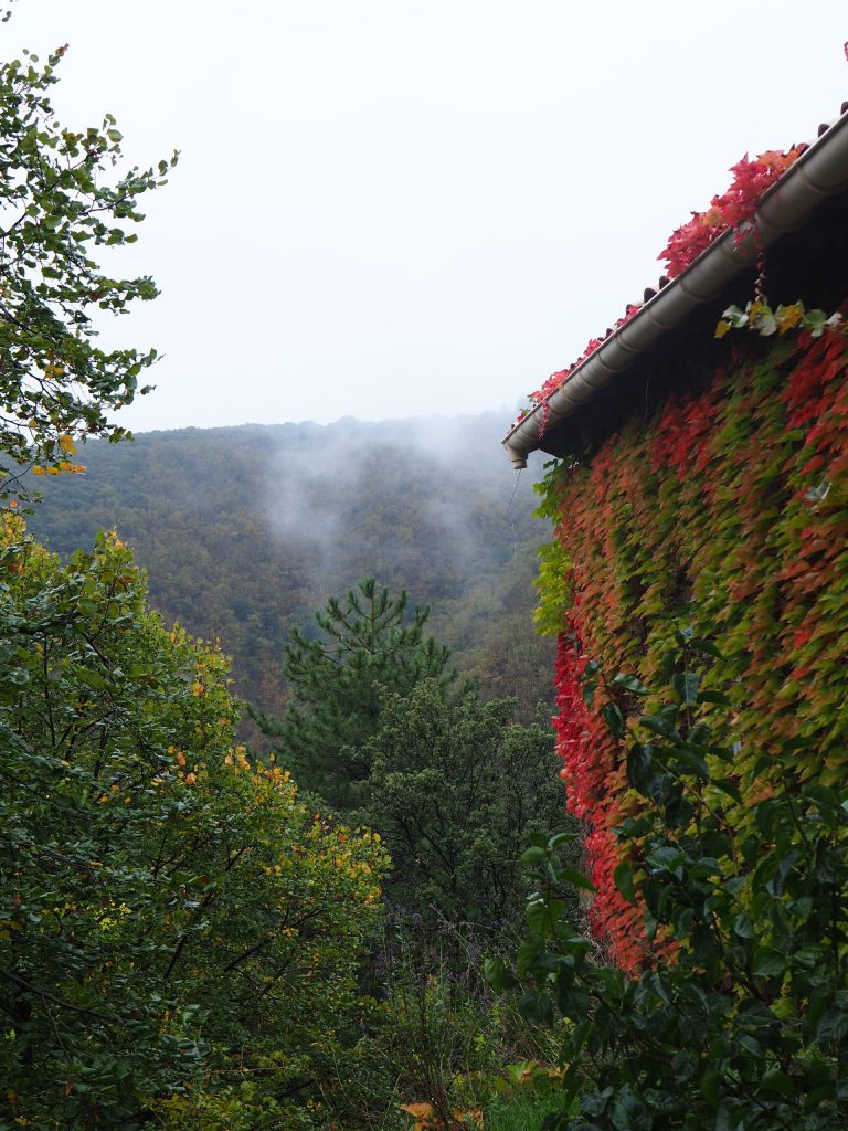 Photo de maison avec du lière rouge dans la brume cévénole